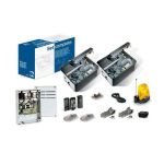 Motorisation Portail enterrée CAME U1990 FROG 24V Kit + 2 télécommandes!