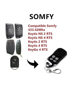 Télécommande Keytis NS 2 RTS Somfy - référence: 1841026