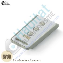 Télécommande BYOU BY